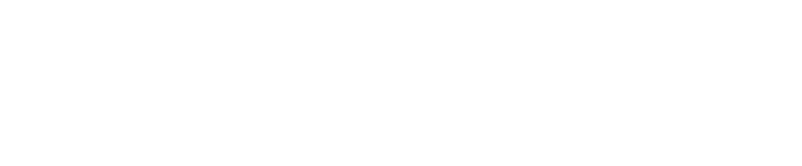 Brand logo featuring a white four-leaf clover icon followed by white cursive text with a decorative underline on a black background.