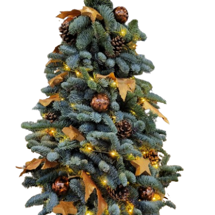 Decorated Christmas tree with warm string lights, pinecones, gold ribbons, and ornaments.