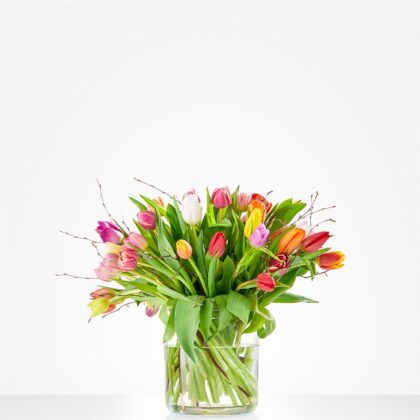Colorful tulips in a clear glass vase on a white surface and background.