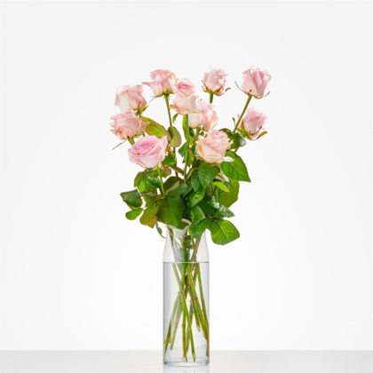Pale pink roses in a clear glass vase filled with water on a white surface.