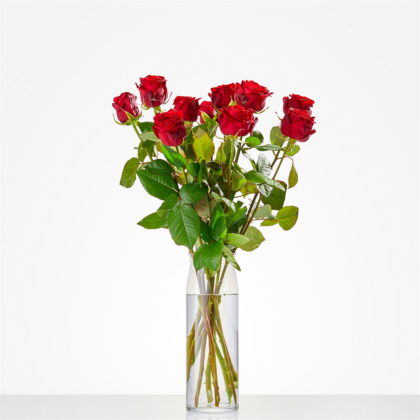 Bouquet of red roses in a tall clear glass vase on a white background
