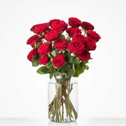 Bouquet of red roses in a clear glass vase on a white background