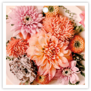 Bouquet of pink, peach, and orange dahlias on a white background plate.