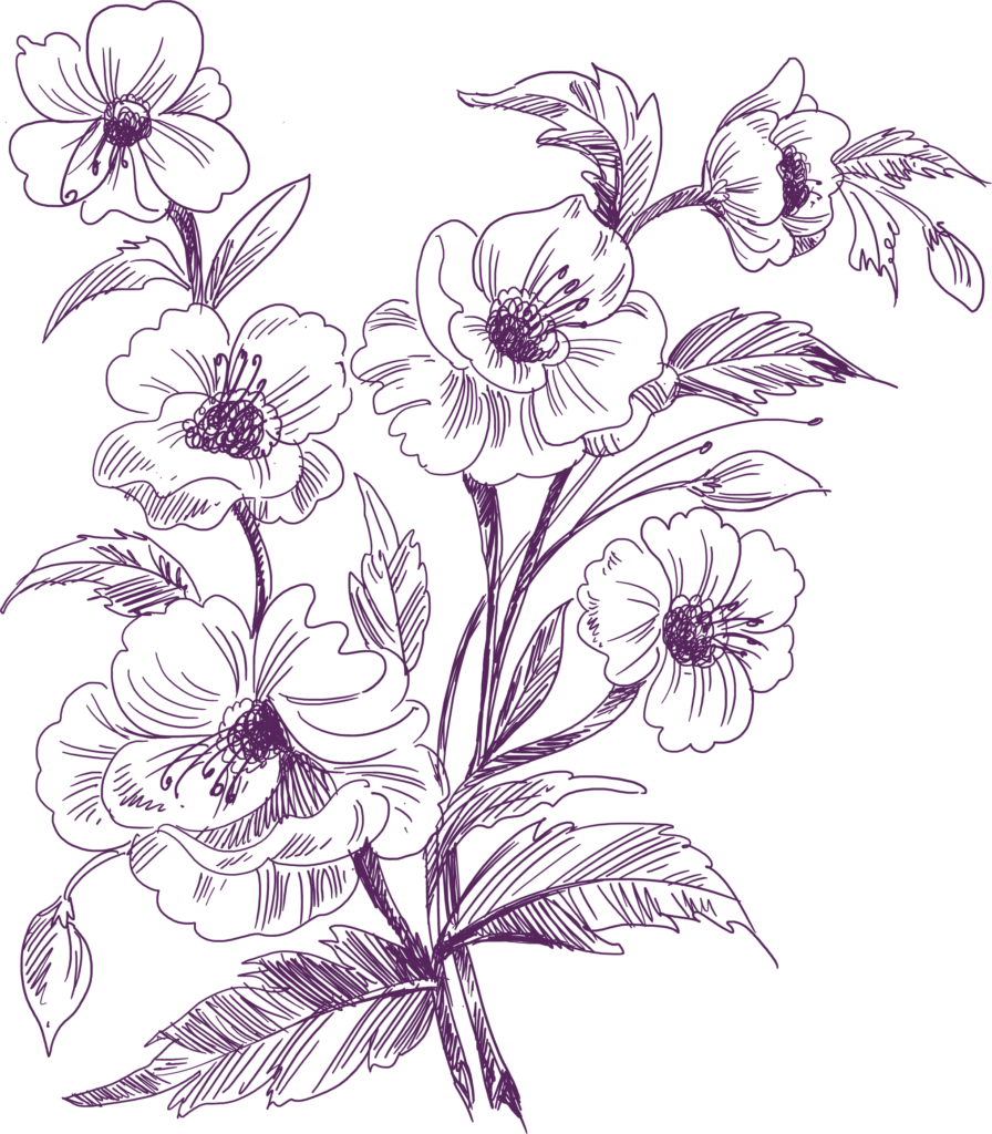 Purple botanical line drawing of blooming flowers and leaves on a black background, decorative botanical motif.