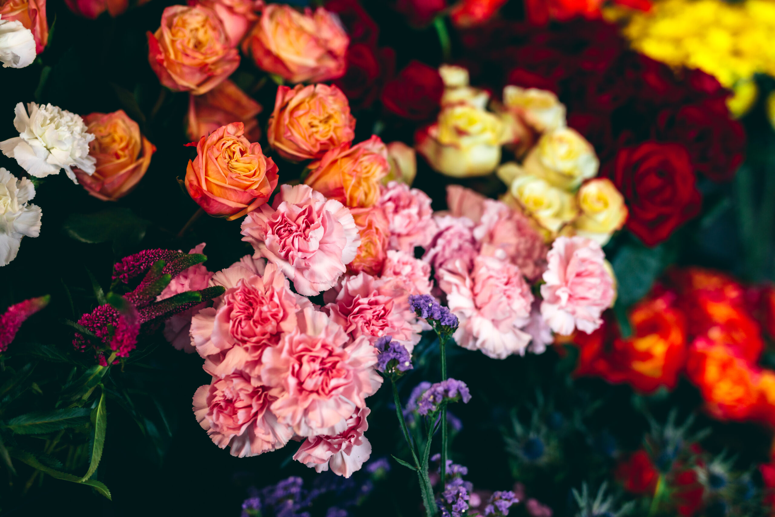 Close-up of pink, peach, white, and yellow roses with purple filler flowers in a dense bouquet.