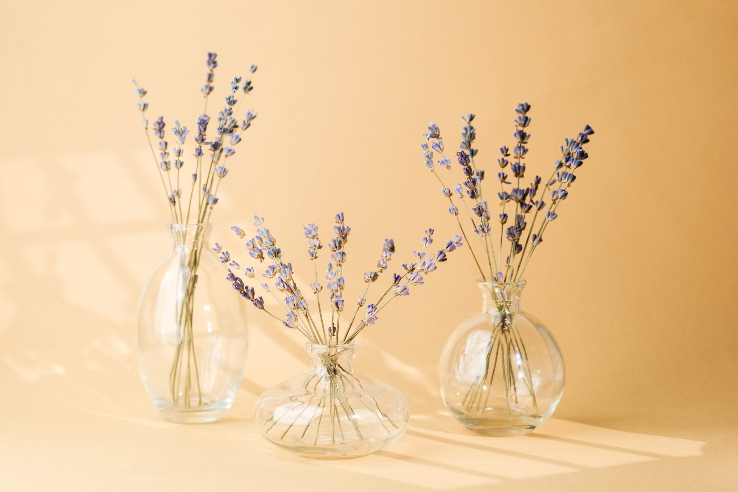 Three clear glass vases holding lavender stems on a pale yellow surface with soft shadows about them