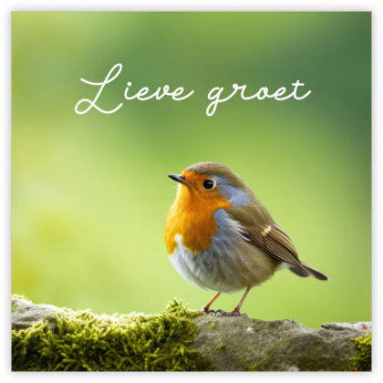 Greeting card featuring a robin on a mossy rock with a green background and the Dutch phrase 'Lieve groei' above.