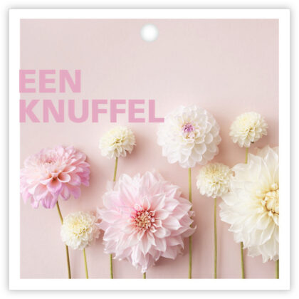 Pastel pink poster featuring pink and white dahlias with bold pink text saying 'EEN KNUFFEL'.