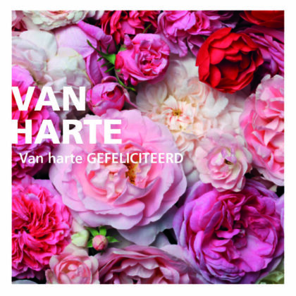 Bouquet of pink and red roses with the Dutch greeting 'Van harte gefeliciteerd' (Congratulations).